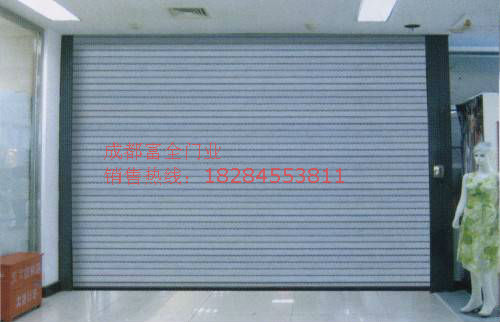 门业图片-车库门系列德阳车库门，达州车库门，巴中车库门，广元车库门45215图片